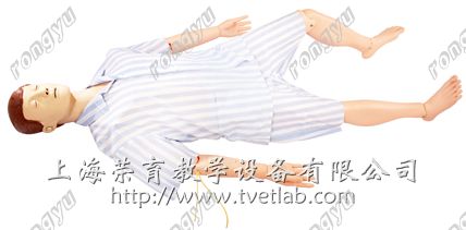 TRY/BLS800型多功能急救护理训练模拟人