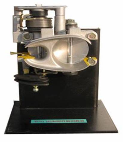 节气门控制元件解剖模型